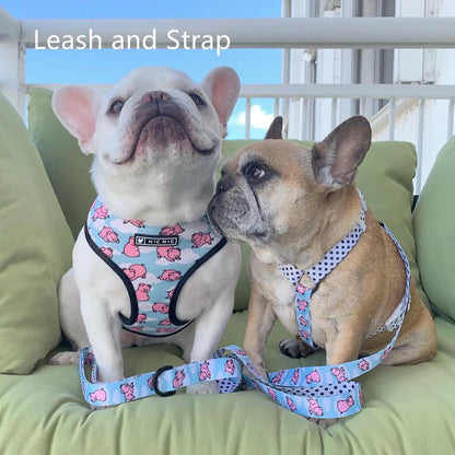 Breathable Mesh Traction Rope Chest Harness for Dogs