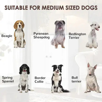 Dog Feeding Station, Dog Food Locker With Hidden Dog Bowl, Adjustable Panel, Hook, Medium Dog, White