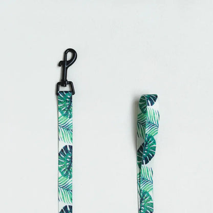 Breathable Mesh Leash and Harness for Small Dogs