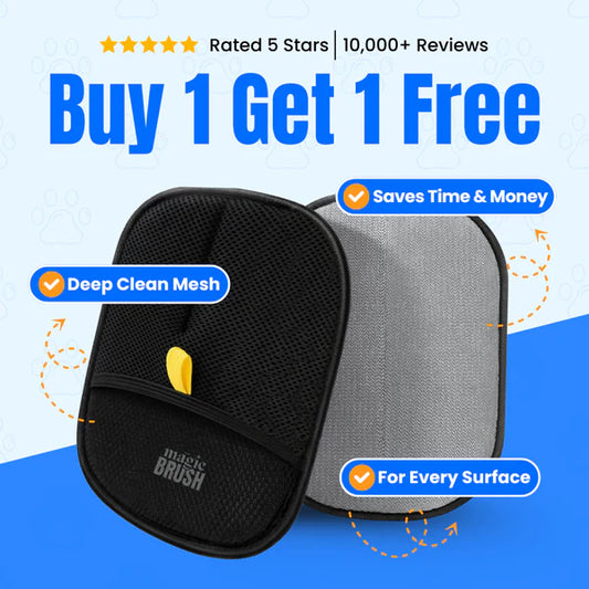 The Magic Brush™ - Buy 1 Get 1 Free