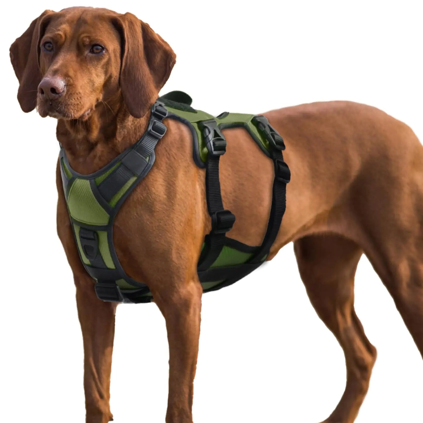 AUROTH Dog Harness Escape Proof Dog Harness for Large Dogs No Pull Dog Harness with Lift Handle Soft Padded Reflective Adjustable Dog Vest Harness Large Dog Harness for Walking Hiking Training