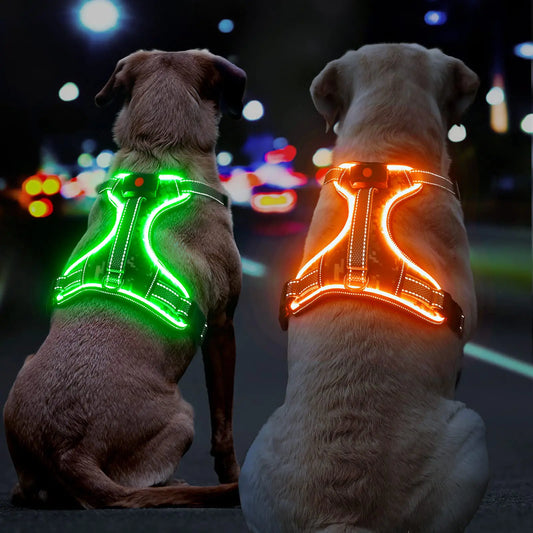 BiPawTi Light Up Dog Harness No Pull - Lighted Dog Vest Harness for Night Walking LED Dog Harness with Handle Rechargeable - Lightweight - Adjustable Lighted Dog Harness for X-Large Dogs Orange