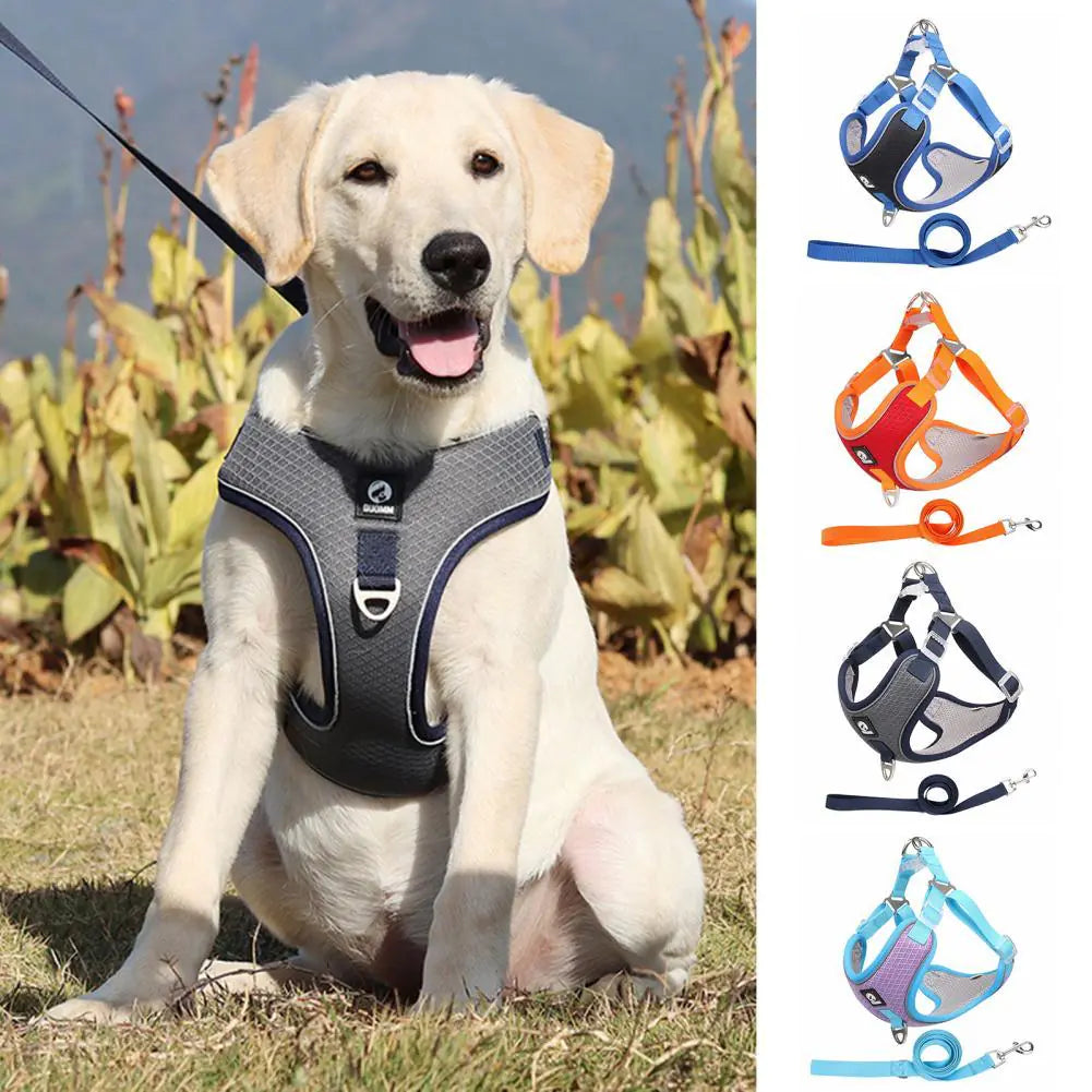 Breathable Mesh Harness for Small to Medium Dogs
