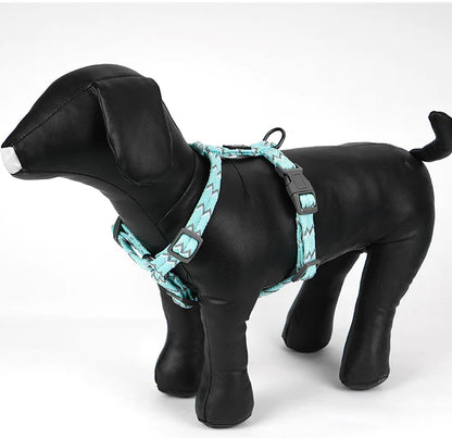 Bohemian Pet Harness Set with Leash for Dogs